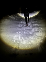 786ba046-58c7-4d4e-b84d-a959623912e2