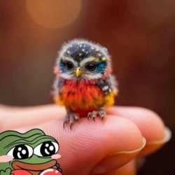 d1cdb3b2-8c8d-4d5a-a97f-c3a5b84df1fb