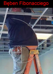 0597321a-28dc-4950-b9e5-93e4c6f37e3f