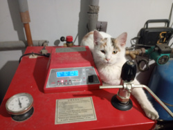 1e25d327-57c0-452c-b4c6-1347477caf6c