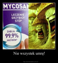 d31bb39c-f7f3-4ce0-bc9a-bc52d14cfaf7