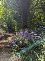 f273bcb9-66b7-40b2-b0eb-e12d70ec1870