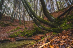 ee291c7c-f7e2-44fd-bf7f-cce622c946dd