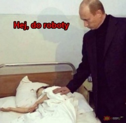 42bb326e-ab25-44e7-ad77-0d00d93f6d29