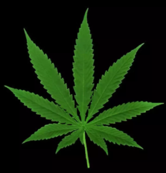 f76f6c37-9d59-4399-b457-834ddb5e31ae