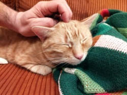 e41698f9-b4af-495b-b375-6bdf1d9805c3