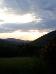 8b3b3d07-2bc7-45d8-86cb-75d7511adecb