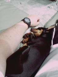 f01a79cf-25f3-469d-abd4-945f63b0b97f