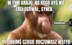 399f5223-f63d-41e2-928c-43eb6607eabc