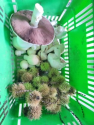 c5be0636-80f5-4201-bd50-ea52f7d54ec3