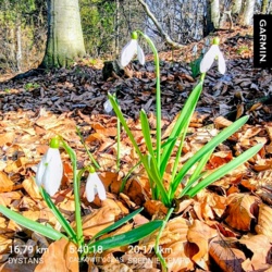 c0cbf397-c94c-4f4f-917a-390b99420d1e