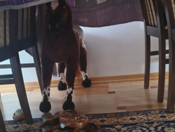 8aa069d2-dc33-4f56-8427-5287903b8cb4