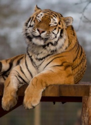 1bc9385f-62e5-479a-9c1c-bcfe4a42cd45