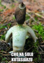 480e0cd0-6b5c-4d89-870a-e8a7f070af83