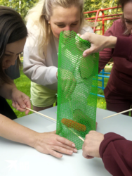 5555fb89-3160-42fe-af41-62646152863c