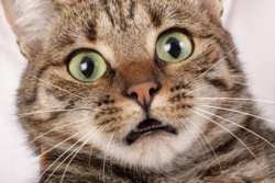 211c6d83-3581-453a-b15c-998c4549482e