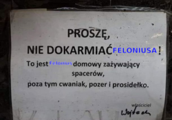 bb692c1d-ea4c-4056-be72-ce784c463760