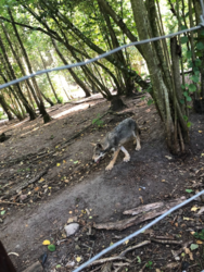 98d0fdd0-5c35-4c81-9134-1f38ebd12296