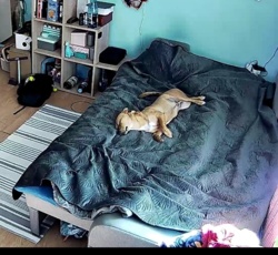 929d64f9-abf2-46b0-90c7-f9fd0bcaee04