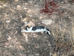 9c4b2887-93fa-43e8-8069-c1bd29cfeb17