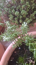 79ad0e7c-128d-4b42-9864-1f26b1d89d29