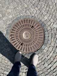 56361758-cc3e-4911-83bc-08dde9738f86