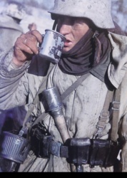 3313a112-df99-4b9f-9191-093ea7ee7629