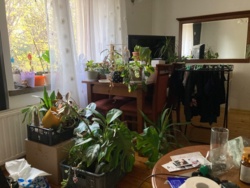 c48b2645-0afd-4a26-845f-5d8dad8717b8