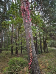 a964e6e1-b346-4c3e-ae95-10dc43e20866