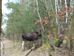 629f3cd6-5d89-4a05-bf18-f661d7be07c6