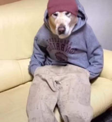 29b3b618-6615-4c11-98ad-aae3e4cdf653