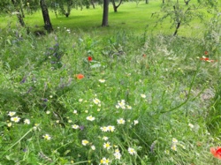 33204da7-4d95-4560-aadf-1a7b24898233