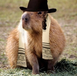 5c9cd4ed-64fb-41ed-9cdf-d9f85853da5d