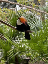 904e2091-7d65-4f88-a4d9-dc53ff0508c7