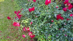 6ba22d9d-ee2f-472b-afc7-64c72204c501