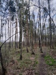 08dd8420-8652-4c26-a50f-1a8235c78b71