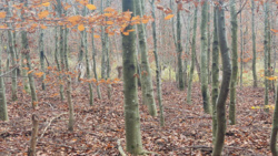 273502c3-215b-4e6f-adad-ebf07dcd6a2f