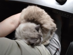 3dde06af-0de9-41a9-a535-08d4d33fe57c