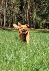 1dc6b5a4-482c-4a02-98ec-580cf0714b93