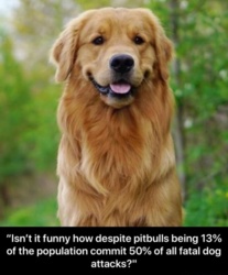 8a6c2b3a-87ad-4021-b9d3-f1f9f3823245