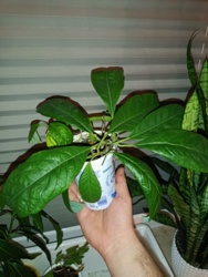 9011baa4-413c-4ea5-9fec-96aec7b17d24