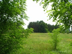 30985c60-920b-4ef2-a96d-15b4f27422a4