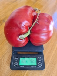 0c1e8460-53ca-4203-8494-23f4378db094