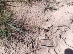 748fdcca-f416-4422-9f9f-cbdd11d1e204