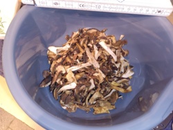 4772130d-bcf4-4790-a0e9-377c230e7c0c