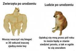 bff1e298-147c-4823-a9ef-4ae94e95cc6c