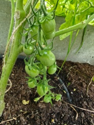 4c7ad80f-2d77-4131-9f0c-4abc13a083e1