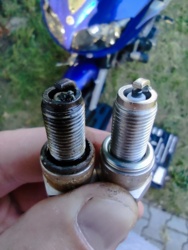 8551f010-cc4c-403f-a19c-85d0aabf348f