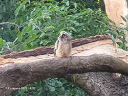 959e22db-6ff4-49e9-85e1-127fa665f51a