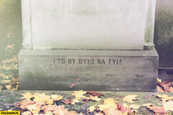 16dd1582-37b8-4bd9-8197-bc029230590f